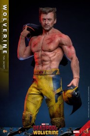 Wolverine (TVA Jacket Version) Deadpool & Wolverine Movie Masterpiece 1/6 Action Figure by Hot Toys