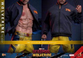 Wolverine (TVA Jacket Version) Deadpool & Wolverine Movie Masterpiece 1/6 Action Figure by Hot Toys