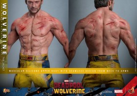 Wolverine (TVA Jacket Version) Deadpool & Wolverine Movie Masterpiece 1/6 Action Figure by Hot Toys