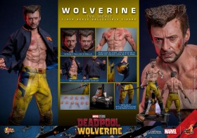 Wolverine (TVA Jacket Version) Deadpool & Wolverine Movie Masterpiece 1/6 Action Figure by Hot Toys