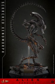 Scorched Xenomorph Alien Romulus 1/6 Action Figure by Hot Toys