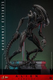 Scorched Xenomorph Alien Romulus 1/6 Action Figure by Hot Toys