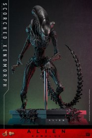 Scorched Xenomorph Alien Romulus 1/6 Action Figure by Hot Toys