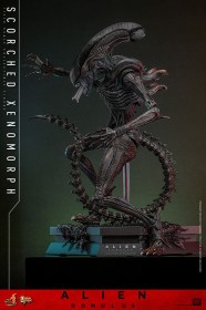 Scorched Xenomorph Alien Romulus 1/6 Action Figure by Hot Toys