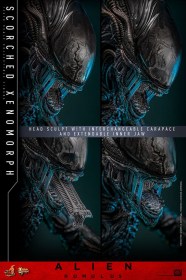 Scorched Xenomorph Alien Romulus 1/6 Action Figure by Hot Toys