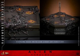 Scorched Xenomorph Alien Romulus 1/6 Action Figure by Hot Toys