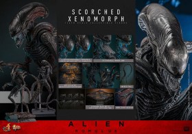 Scorched Xenomorph Alien Romulus 1/6 Action Figure by Hot Toys