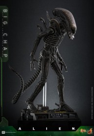 Big Chap Alien 1/6 Action Figure by Hot Toys
