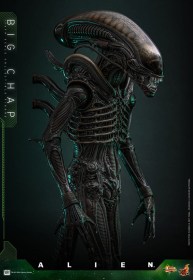 Big Chap Alien 1/6 Action Figure by Hot Toys