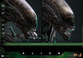 Big Chap Alien 1/6 Action Figure by Hot Toys