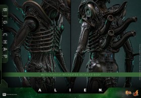 Big Chap Alien 1/6 Action Figure by Hot Toys