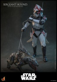 Sergeant Hound Star Wars The Clone Wars 1/6 Action Figure by Hot Toys