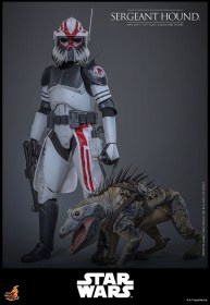 Sergeant Hound Star Wars The Clone Wars 1/6 Action Figure by Hot Toys