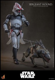 Sergeant Hound Star Wars The Clone Wars 1/6 Action Figure by Hot Toys