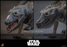 Sergeant Hound Star Wars The Clone Wars 1/6 Action Figure by Hot Toys