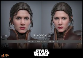 Leia Organa (Boushh Disguise) Star Wars Episode VI Movie Masterpiece 1/6 Action Figure by Hot Toys