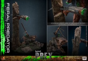 Feral Predator (Battle Damaged Version) Prey 1/6 Action Figure by Hot Toys