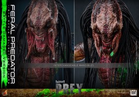 Feral Predator (Battle Damaged Version) Prey 1/6 Action Figure by Hot Toys