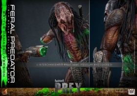 Feral Predator (Battle Damaged Version) Prey 1/6 Action Figure by Hot Toys