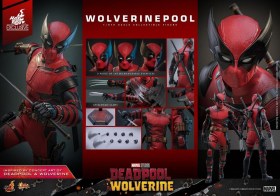 Wolverinepool Exclusive Deadpool & Wolverine 1/6 Action Figure by Hot Toys