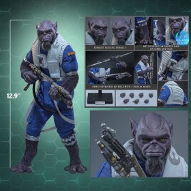 Zeb Orrelios Star Wars 1/6 Action Figure by Hot Toys