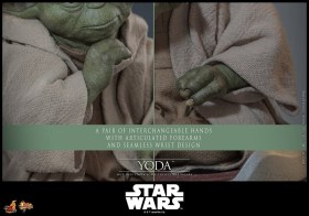 Yoda Star Wars Revenge of the Sith 1/6 Action Figure by Hot Toys