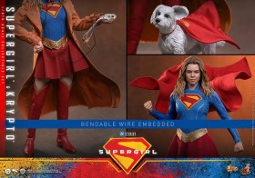 Supergirl & Krypto DC Comics 1/6 Action Figure Set by Hot Toys