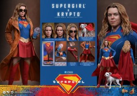 Supergirl & Krypto DC Comics 1/6 Action Figure Set by Hot Toys
