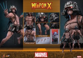 Weapon X Marvel 1/6 Action Figure by Hot Toys