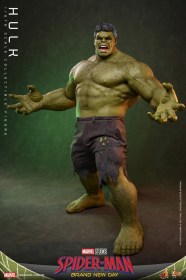 Hulk Marvel 1/6 Action Figure by Hot Toys