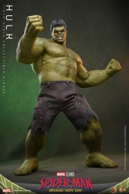 Hulk Marvel 1/6 Action Figure by Hot Toys