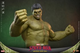 Hulk Marvel 1/6 Action Figure by Hot Toys
