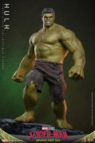 Hulk Marvel 1/6 Action Figure by Hot Toys