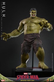Hulk Marvel 1/6 Action Figure by Hot Toys