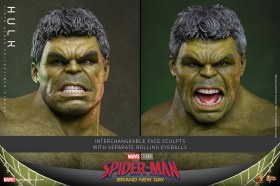 Hulk Marvel 1/6 Action Figure by Hot Toys