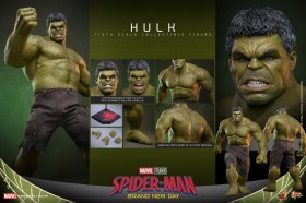 Hulk Marvel 1/6 Action Figure by Hot Toys