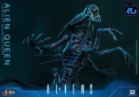 Alien Queen Alien 1/6 Action Figure by Hot Toys