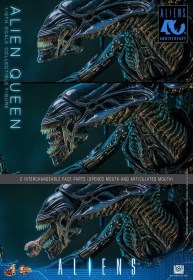 Alien Queen Alien 1/6 Action Figure by Hot Toys
