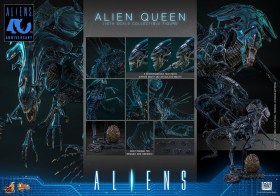 Alien Queen Alien 1/6 Action Figure by Hot Toys