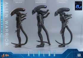 Alien Warrior (Deluxe Version) Alien 1/6 Action Figure by Hot Toys