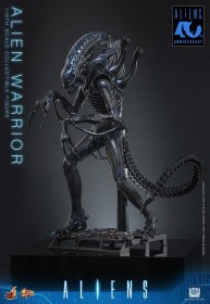 Alien Warrior Alien 1/6 Action Figure by Hot Toys