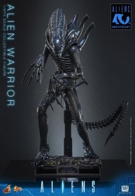 Alien Warrior Alien 1/6 Action Figure by Hot Toys