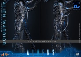 Alien Warrior Alien 1/6 Action Figure by Hot Toys