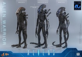 Alien Warrior Alien 1/6 Action Figure by Hot Toys