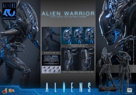 Alien Warrior Alien 1/6 Action Figure by Hot Toys