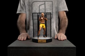 Iron Studios: Anderson Spider Silva Signed Version UFC Deluxe Art 1/10  Scale Statue by Iron Studios