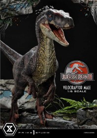 Velociraptor Male Bonus Version Jurassic Park III Legacy Museum Collection 1/6 Statue by Prime 1 Studio