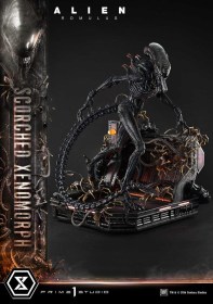 Scorched Xenomorph Alien Romulus 1/3 Statue by Prime 1 Studio