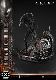 Scorched Xenomorph Alien Romulus 1/3 Statue by Prime 1 Studio