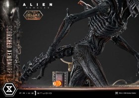 Scorched Xenomorph Deluxe Alien Romulus 1/3 Statue by Prime 1 Studio